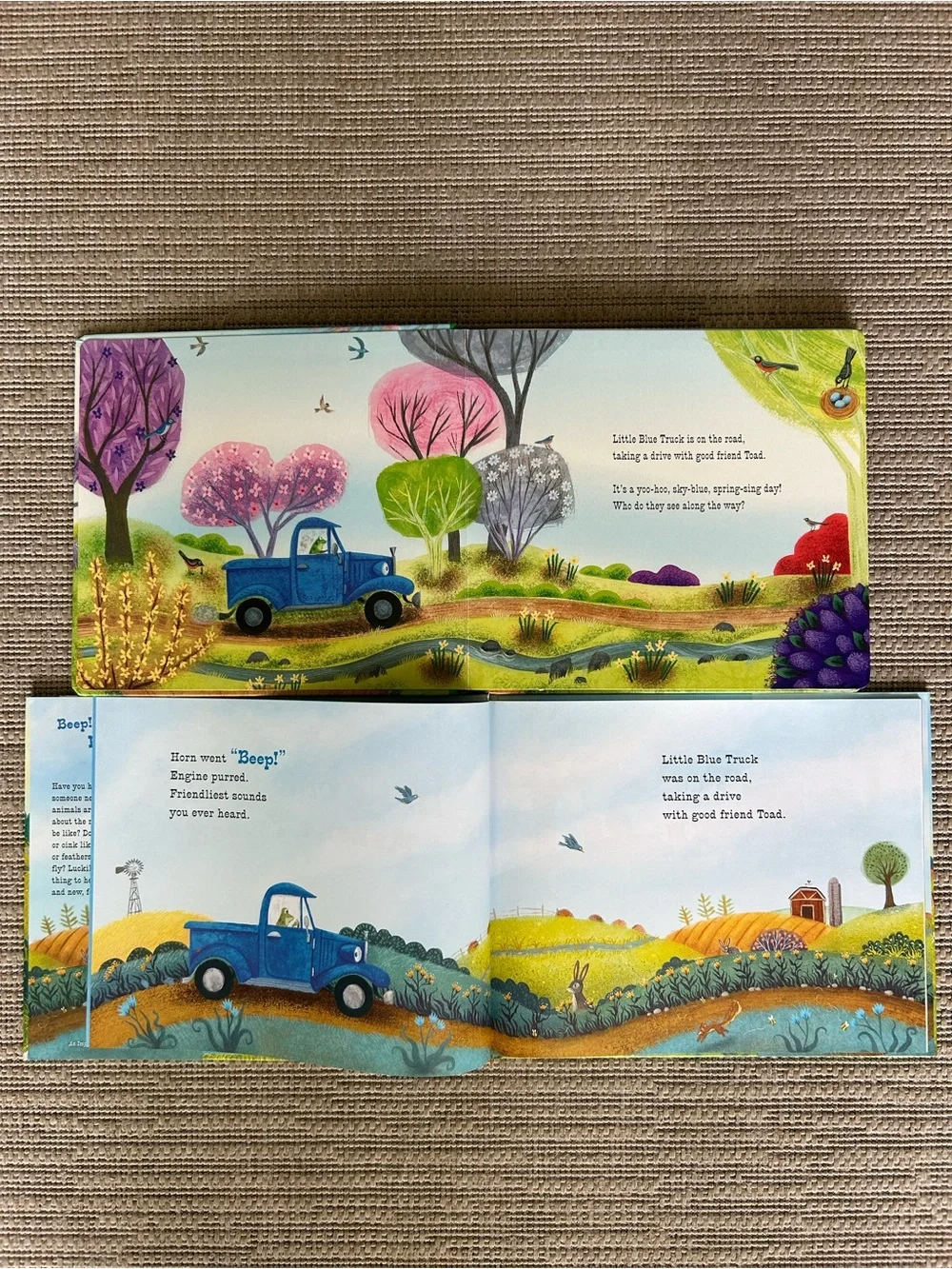 N/A board books